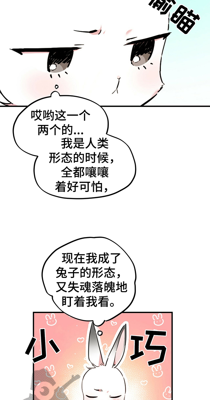 第6章：鄙视3