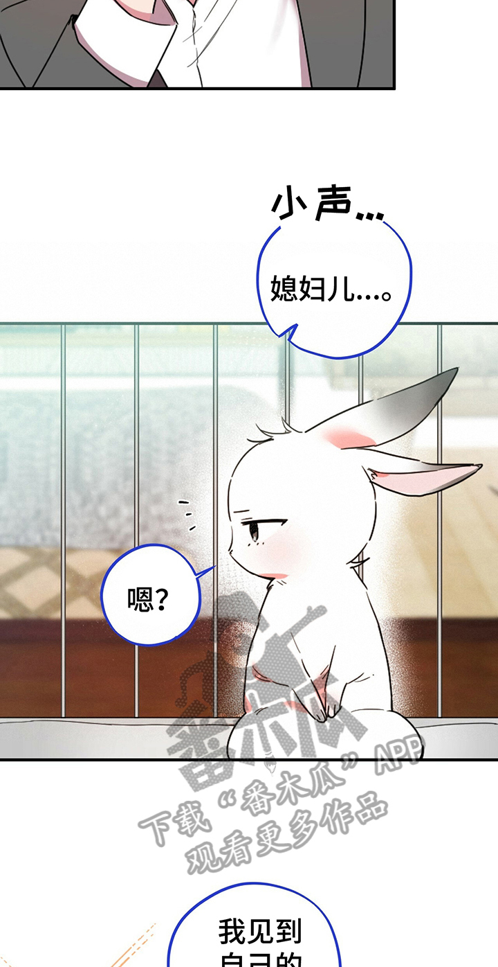 第5章：媳妇儿19