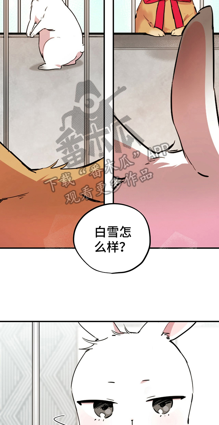 第5章：媳妇儿7