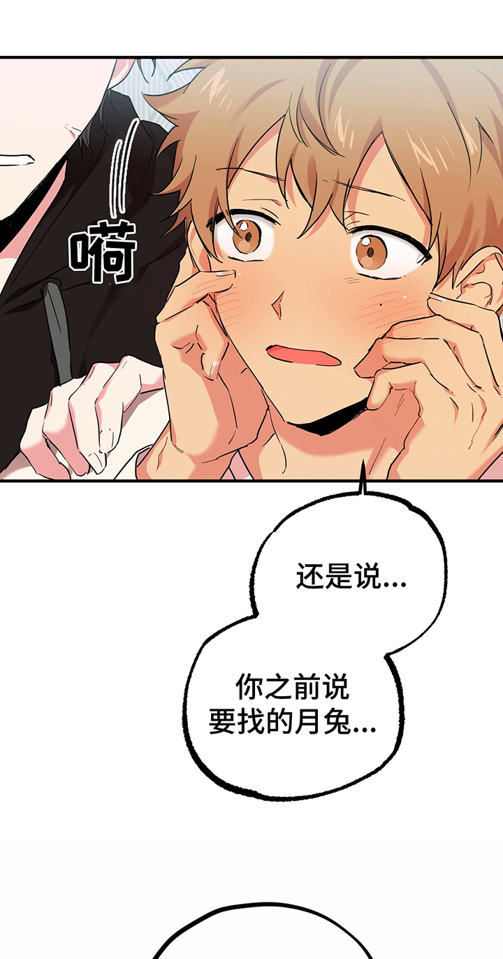 第14章：目的12