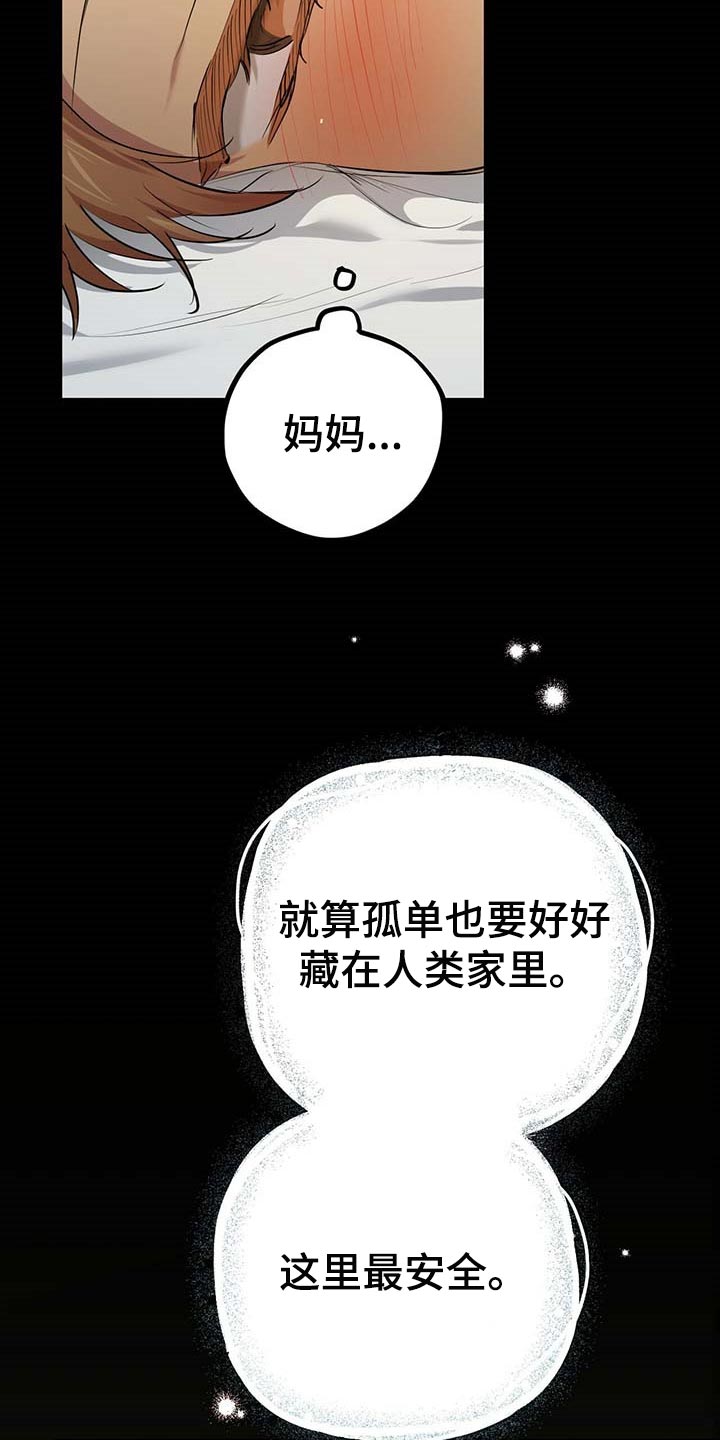 第77章：特别的兔子20