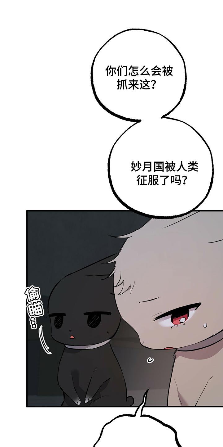 第116章：开始干活19