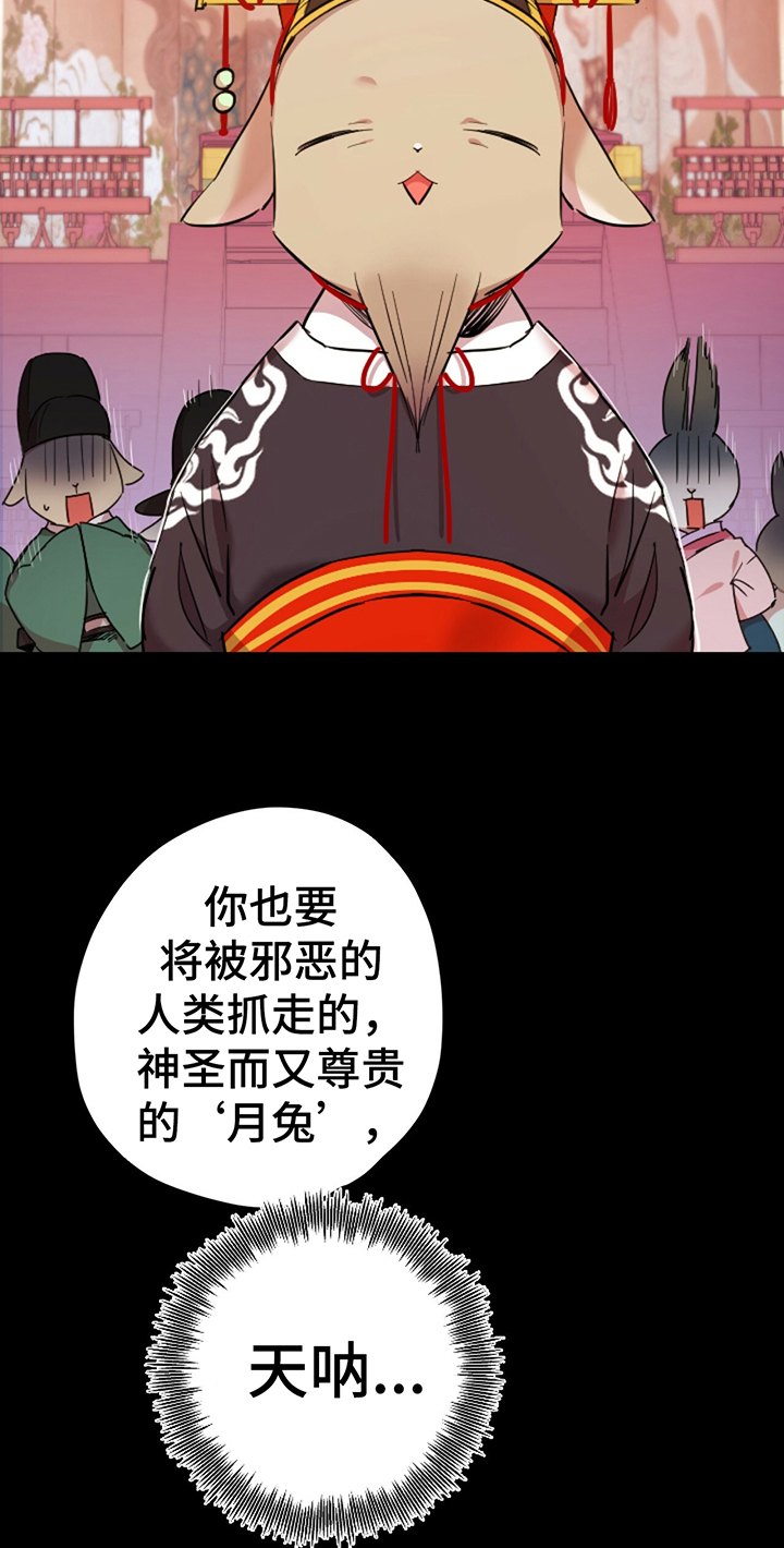第3章：任务21