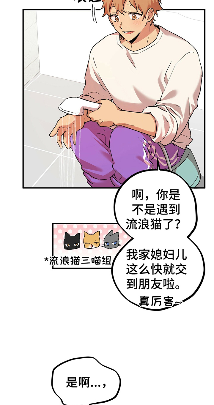 第10章：特征23