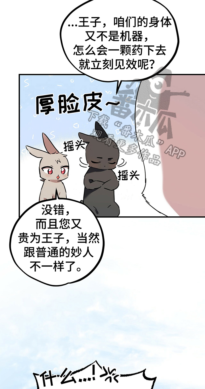 第10章：特征14