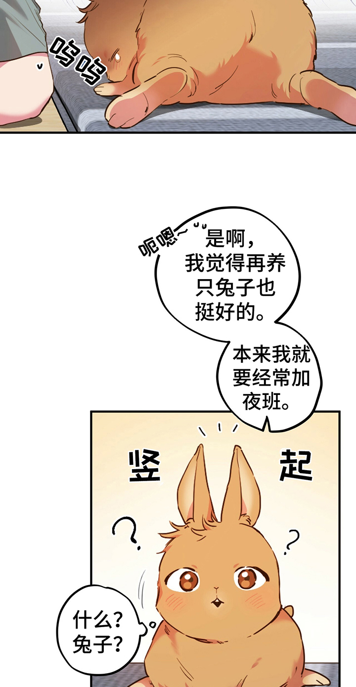 第2章：惊愕3