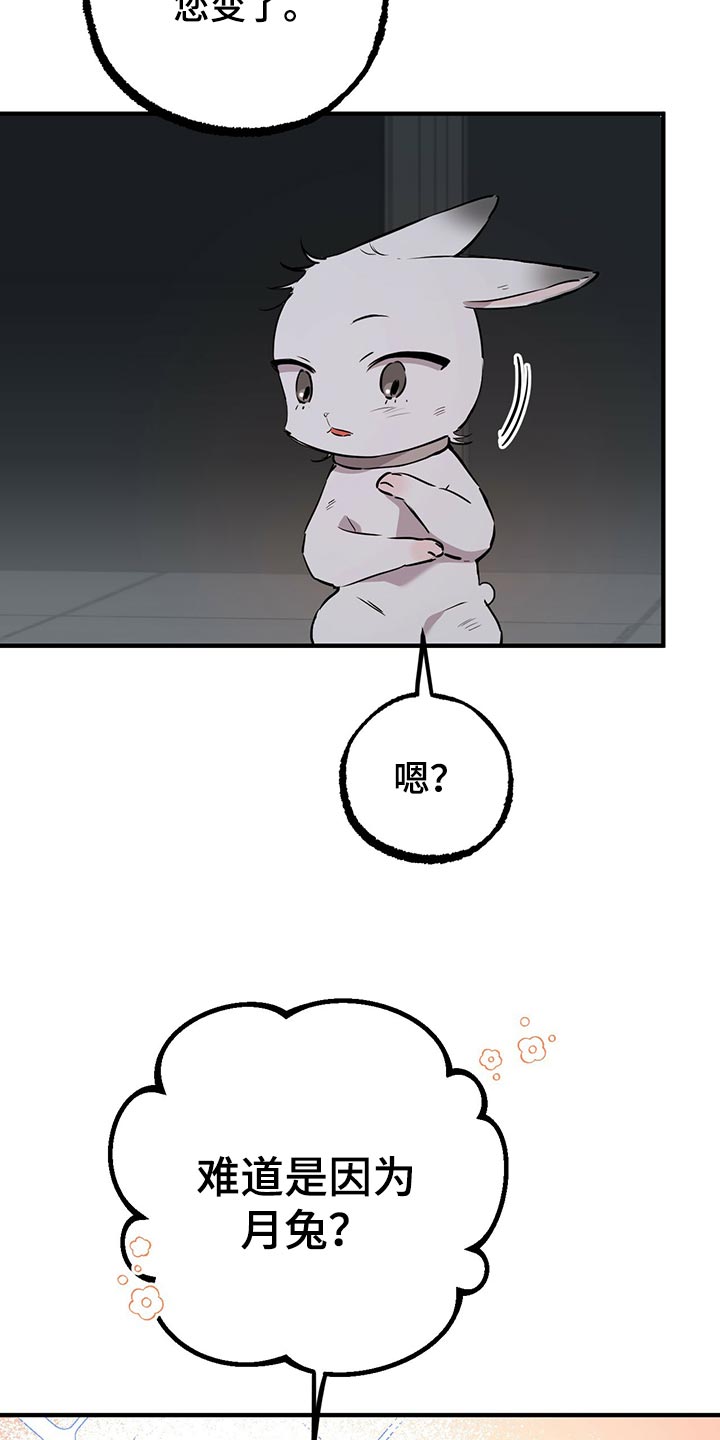第117章：我有个好主意8