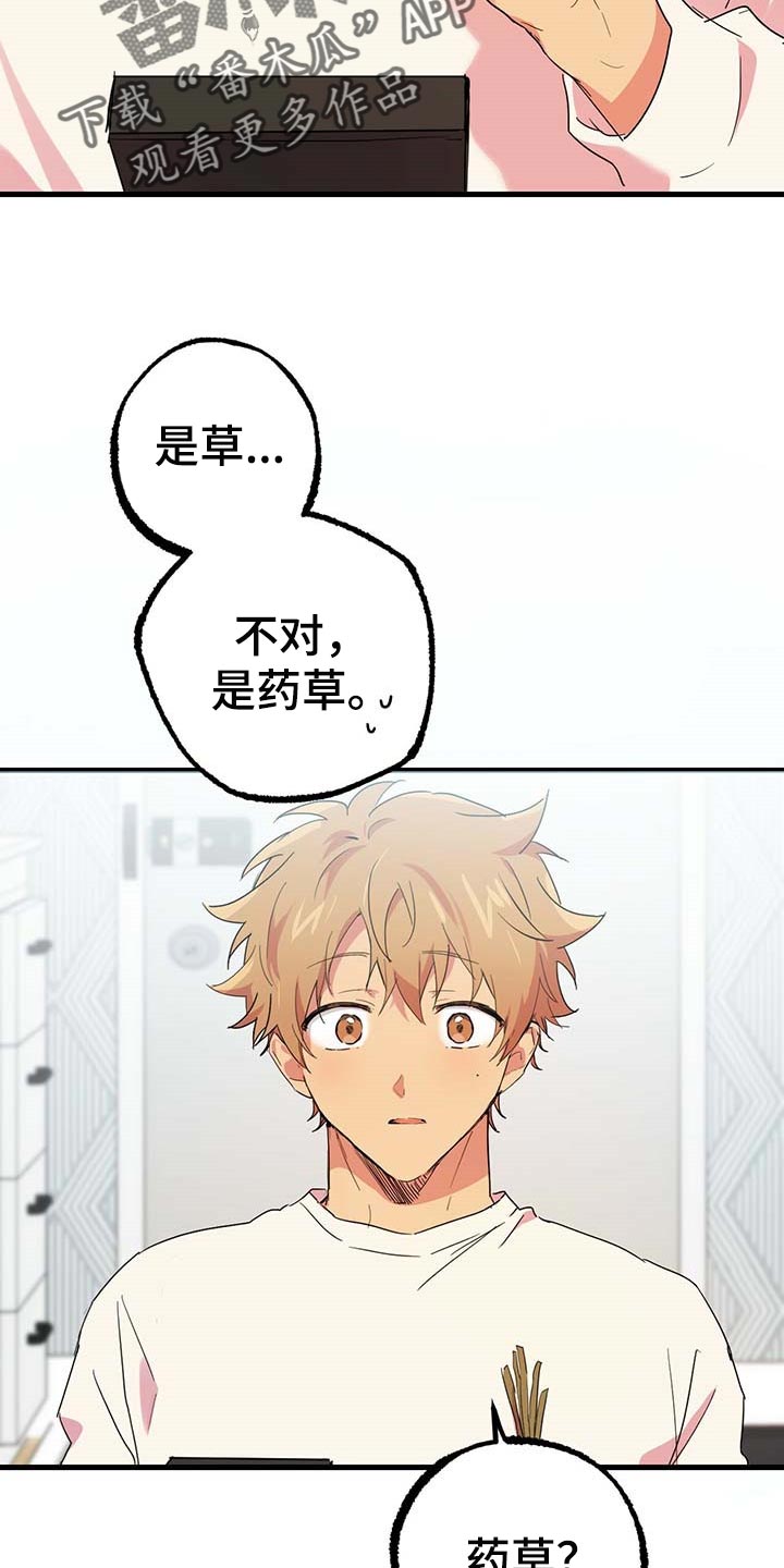 第34章：我也要喝17