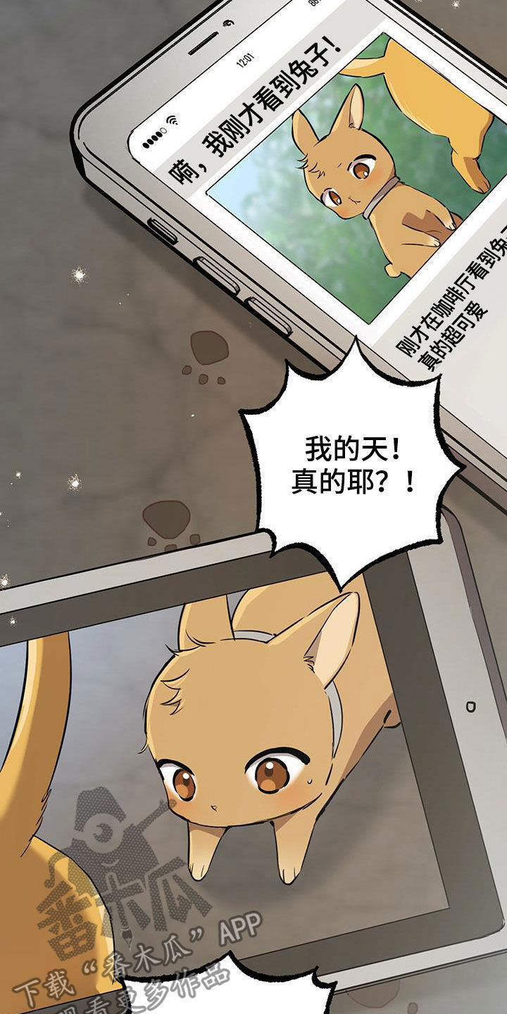第120章：入口17