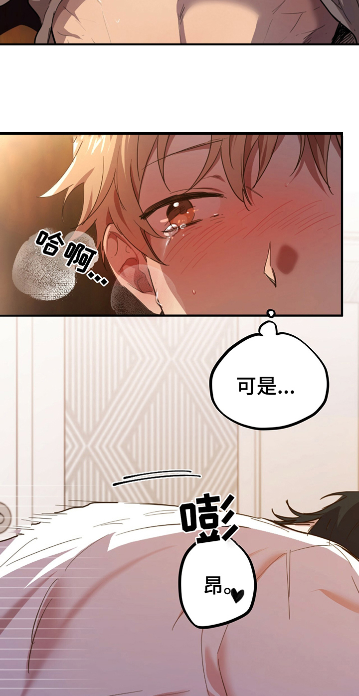第1章：兔子4