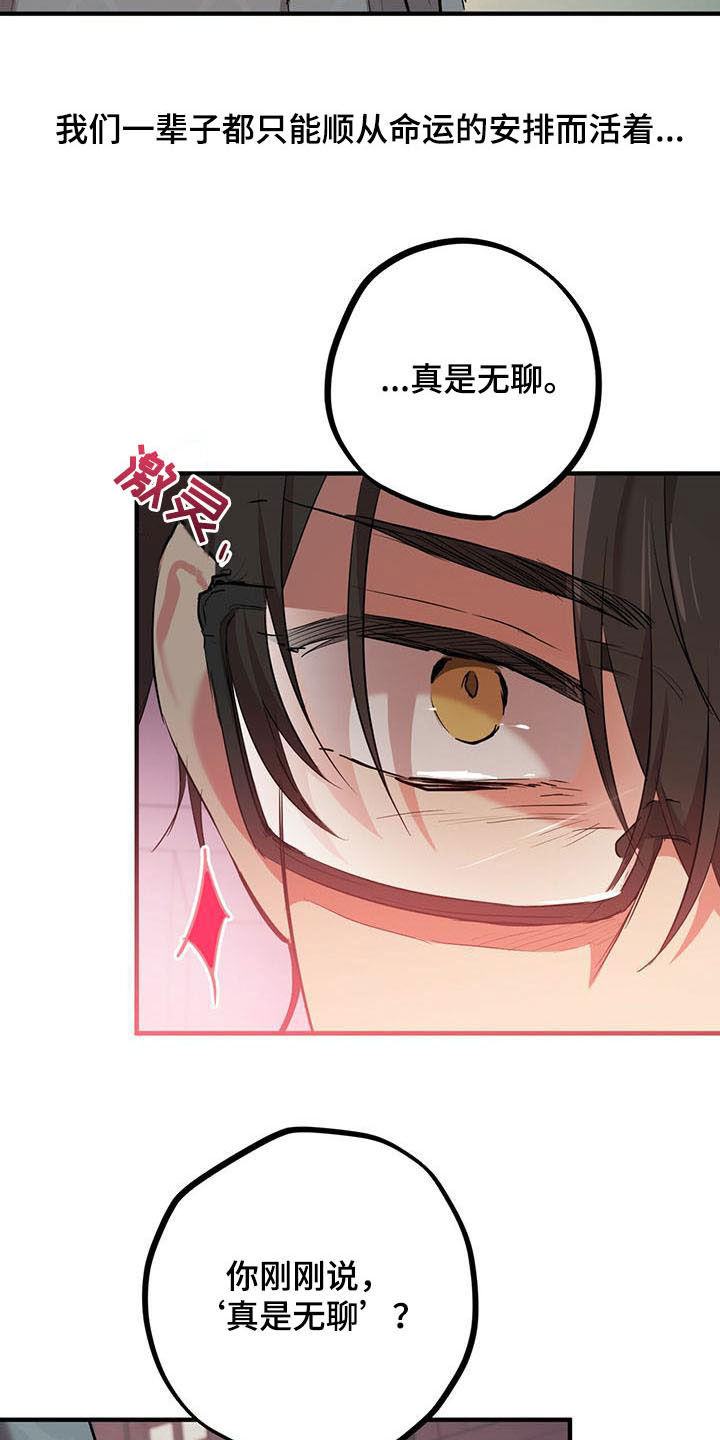 第62章：争论3