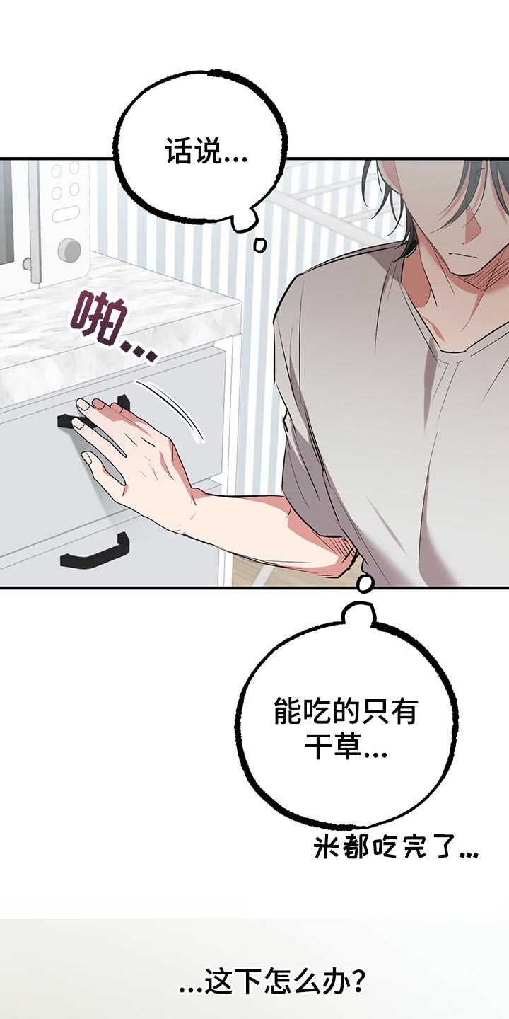 第103章：先去弄点吃的11