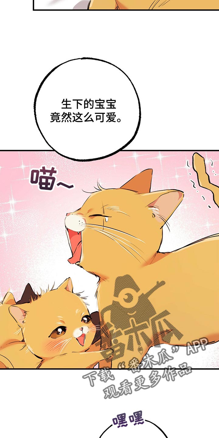 第89章：家里有监控8