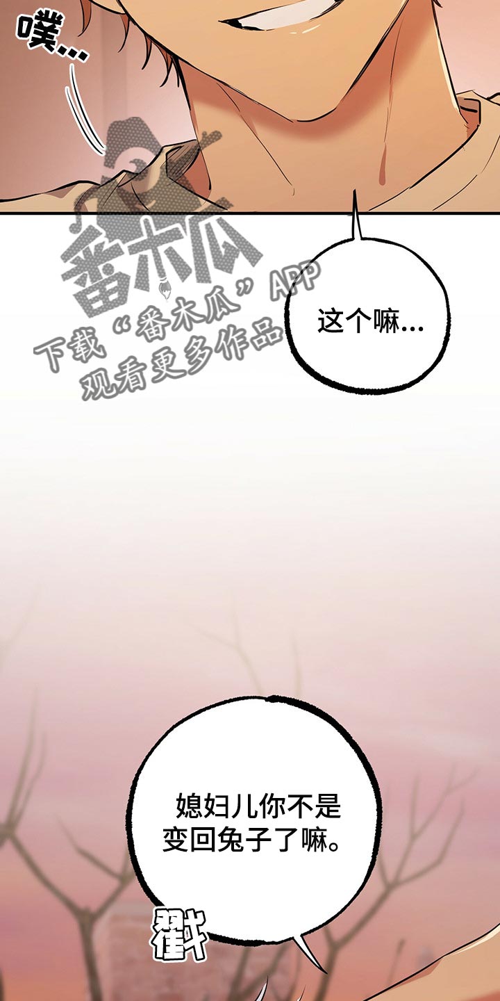 第99章：身世的秘密37