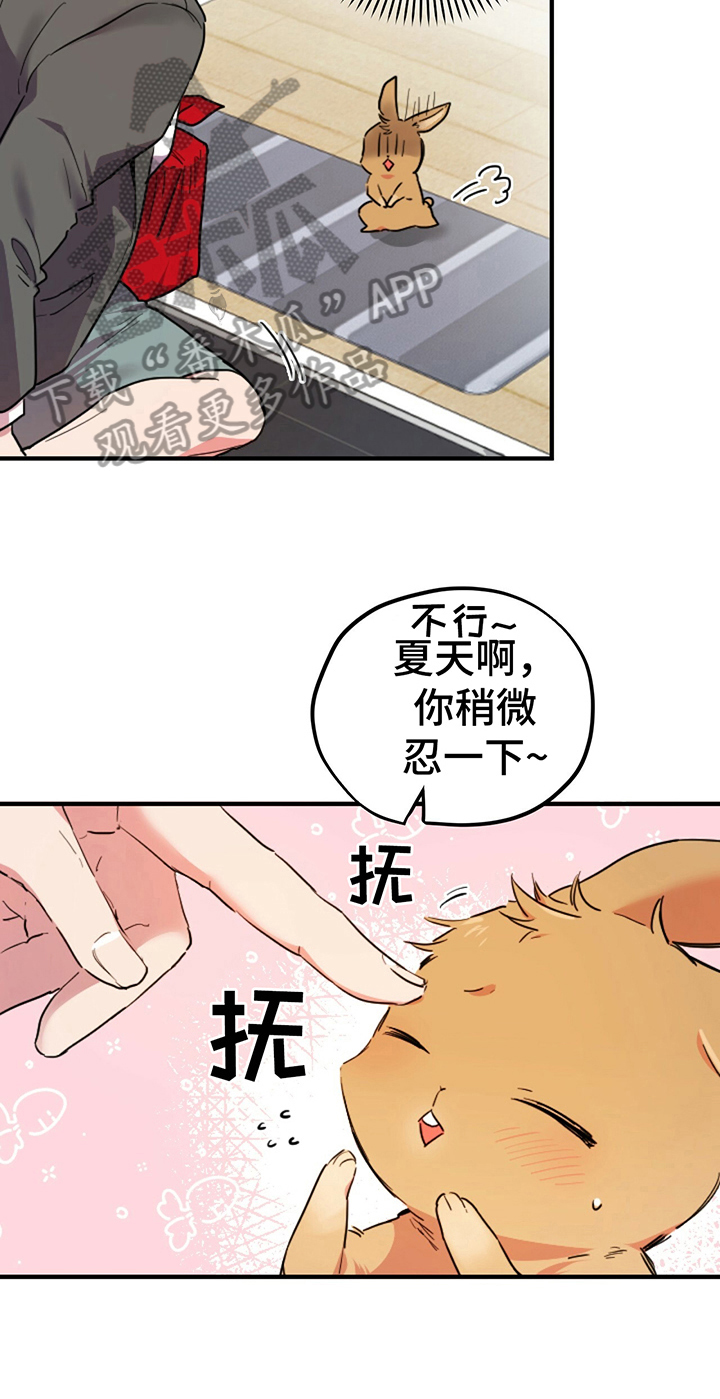 第4章：计策17
