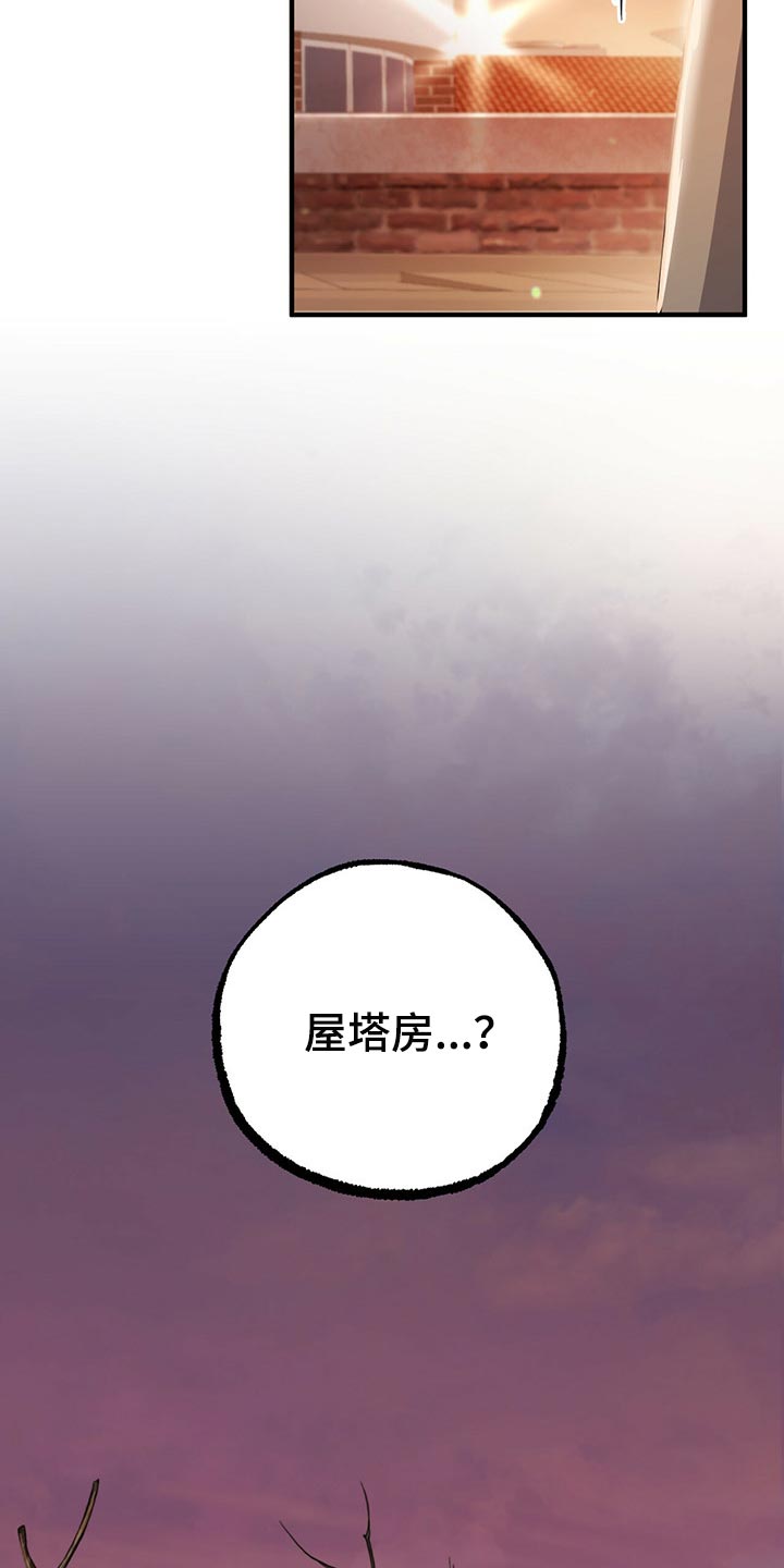 第99章：身世的秘密30
