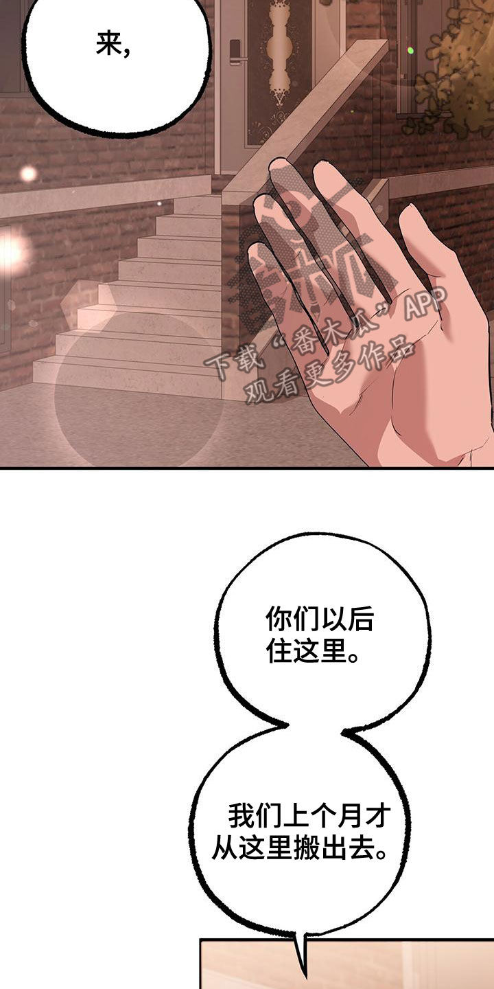 第127章：安排17