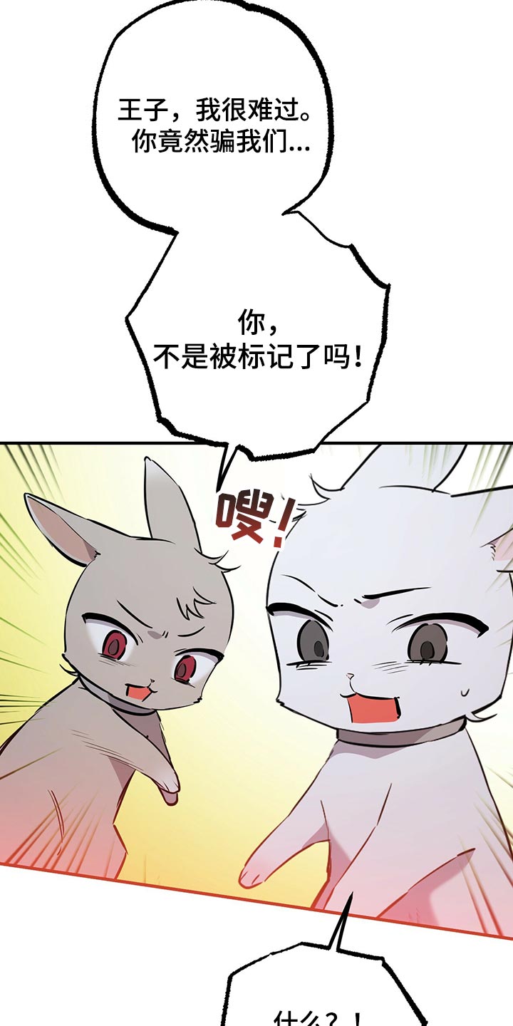 第117章：我有个好主意15