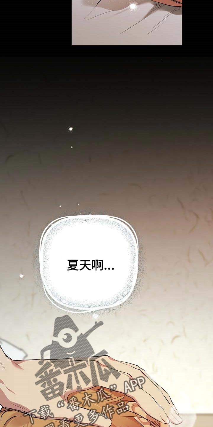 第77章：特别的兔子18