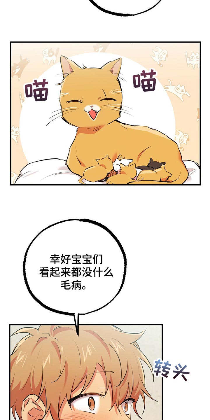 第89章：家里有监控2