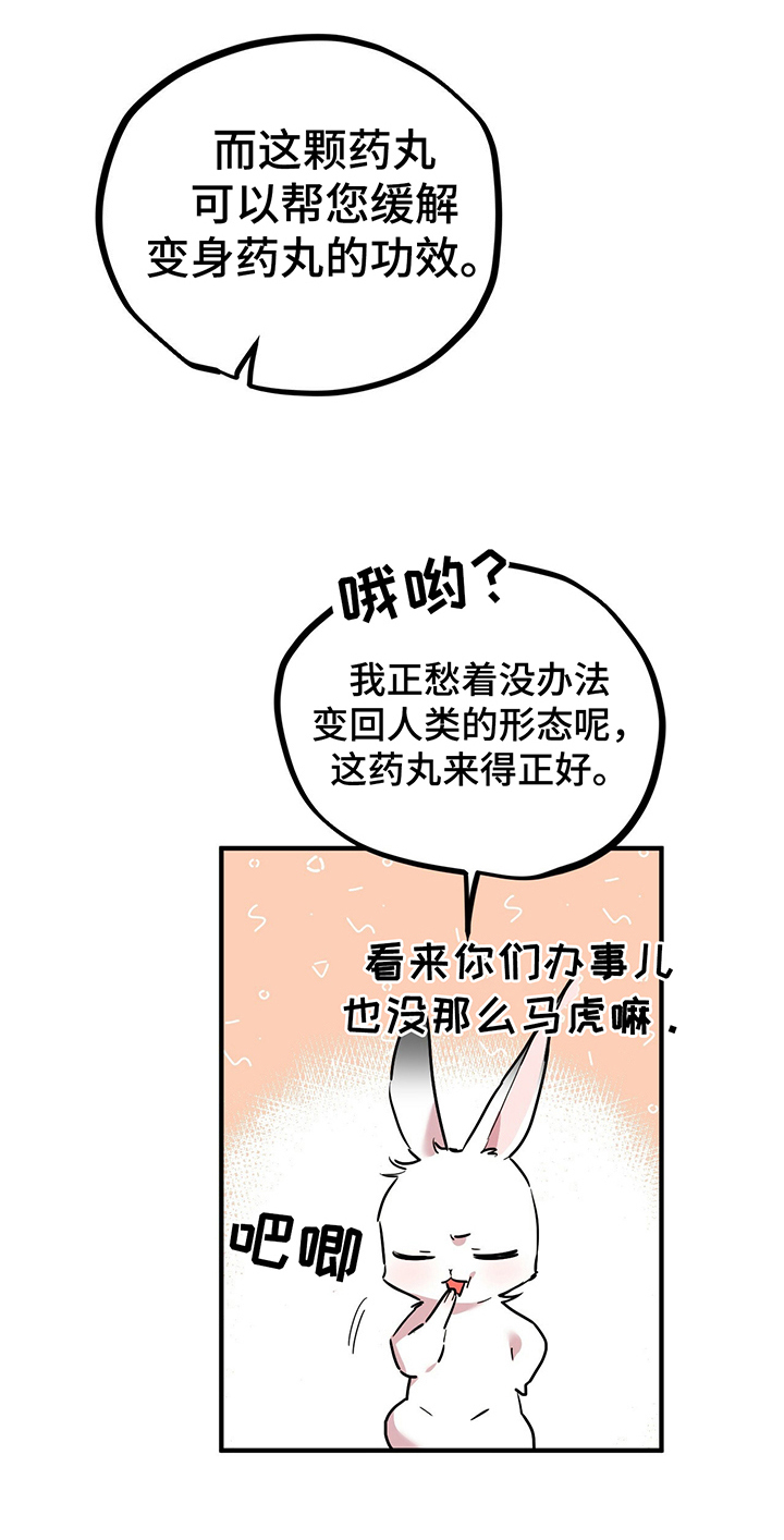 第10章：特征12