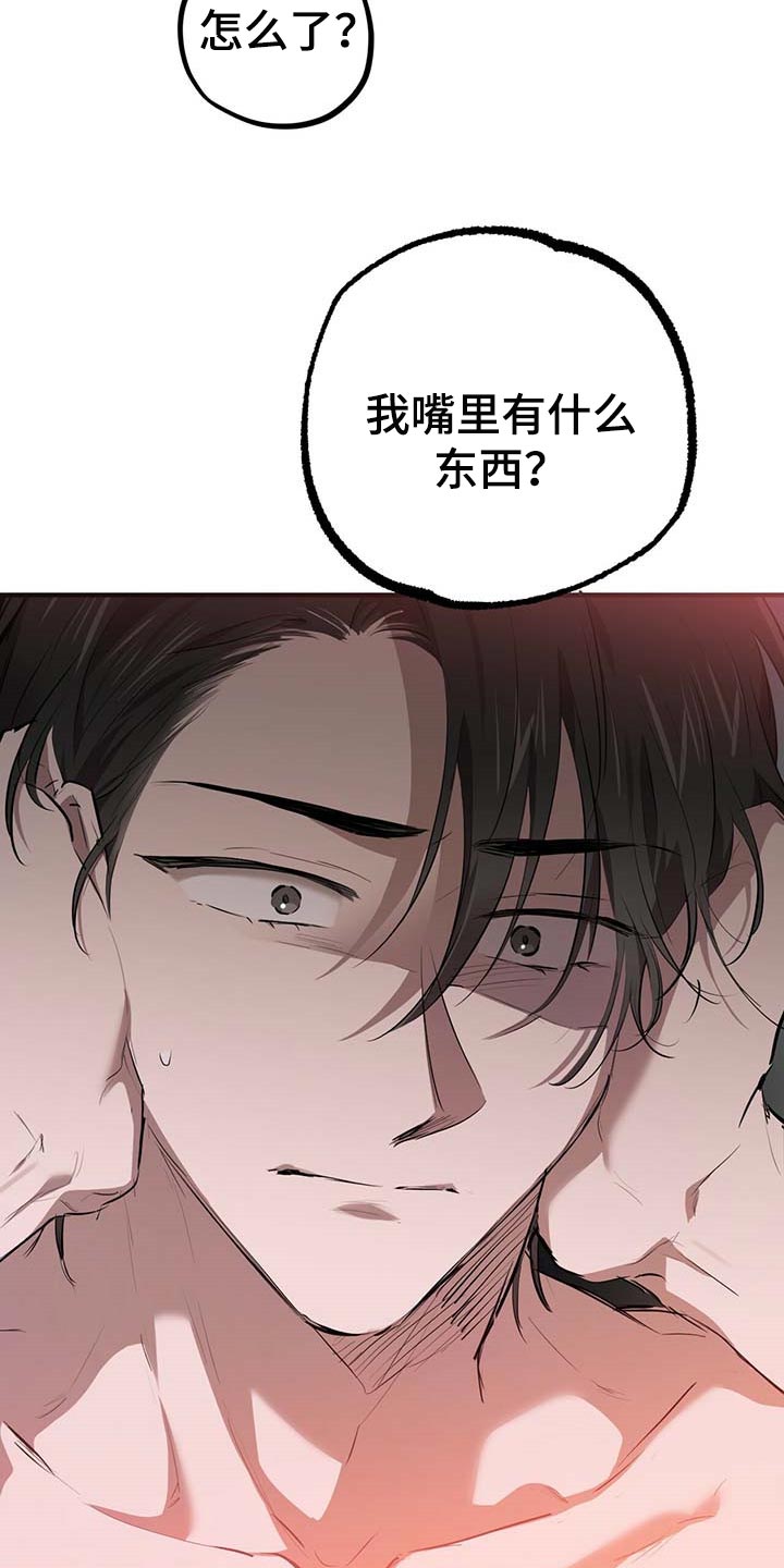 第77章：特别的兔子4