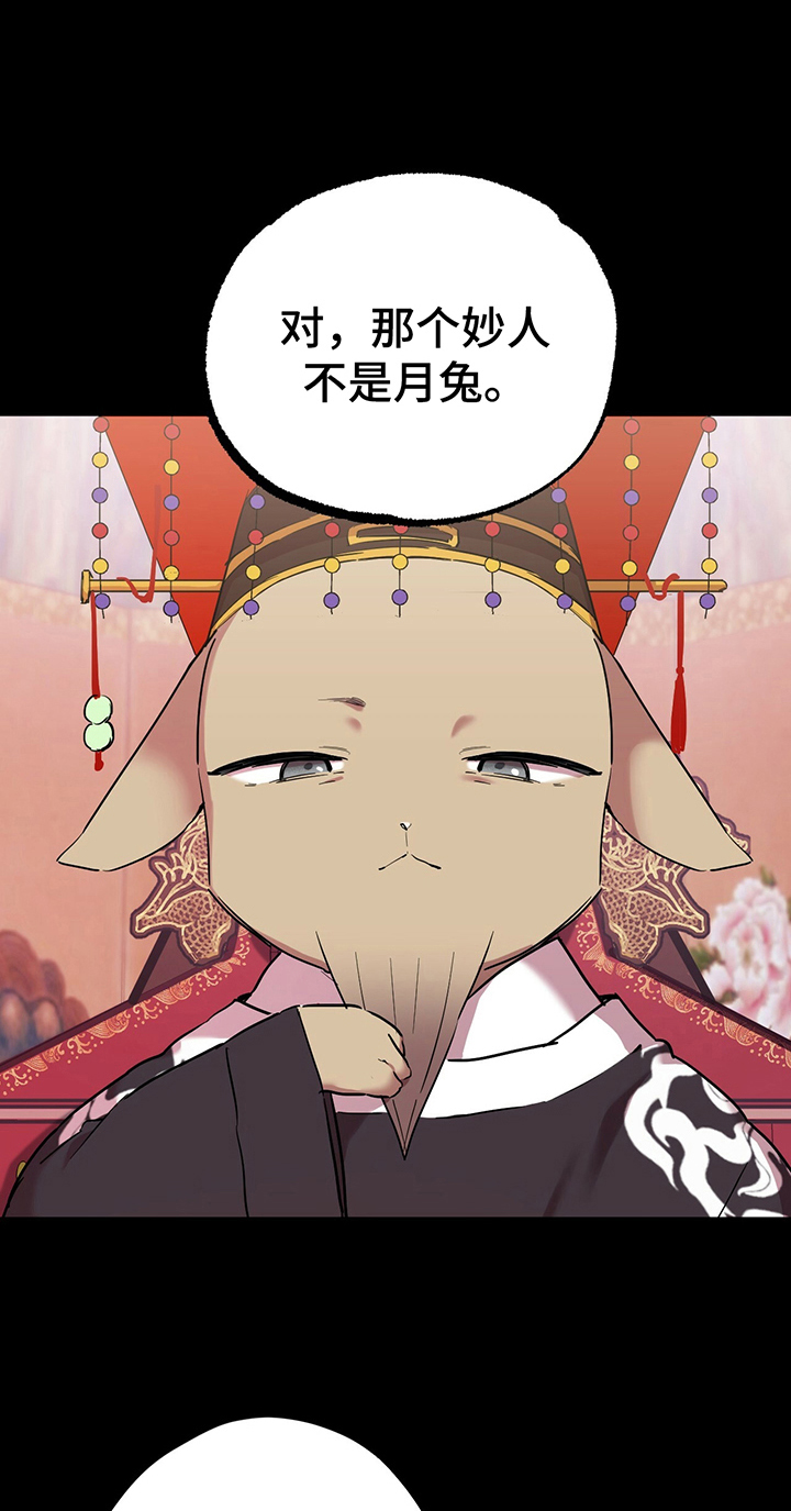 第17章：关联梦境8