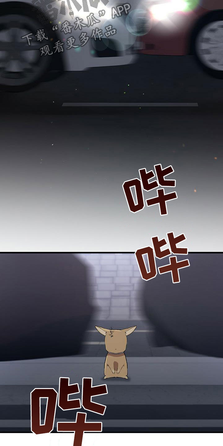 第119章：出发17