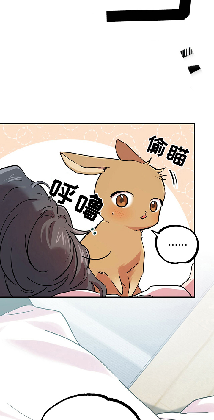 第20章：回来了18