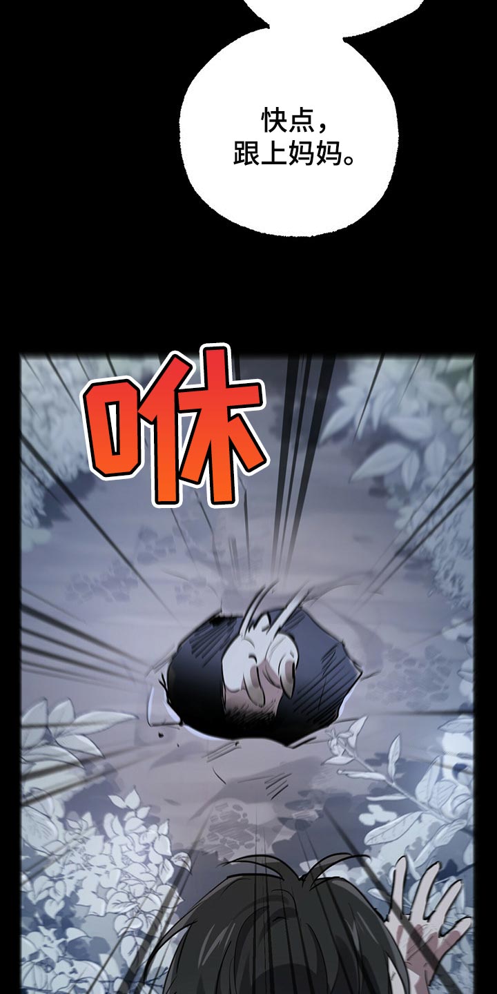 第99章：身世的秘密21