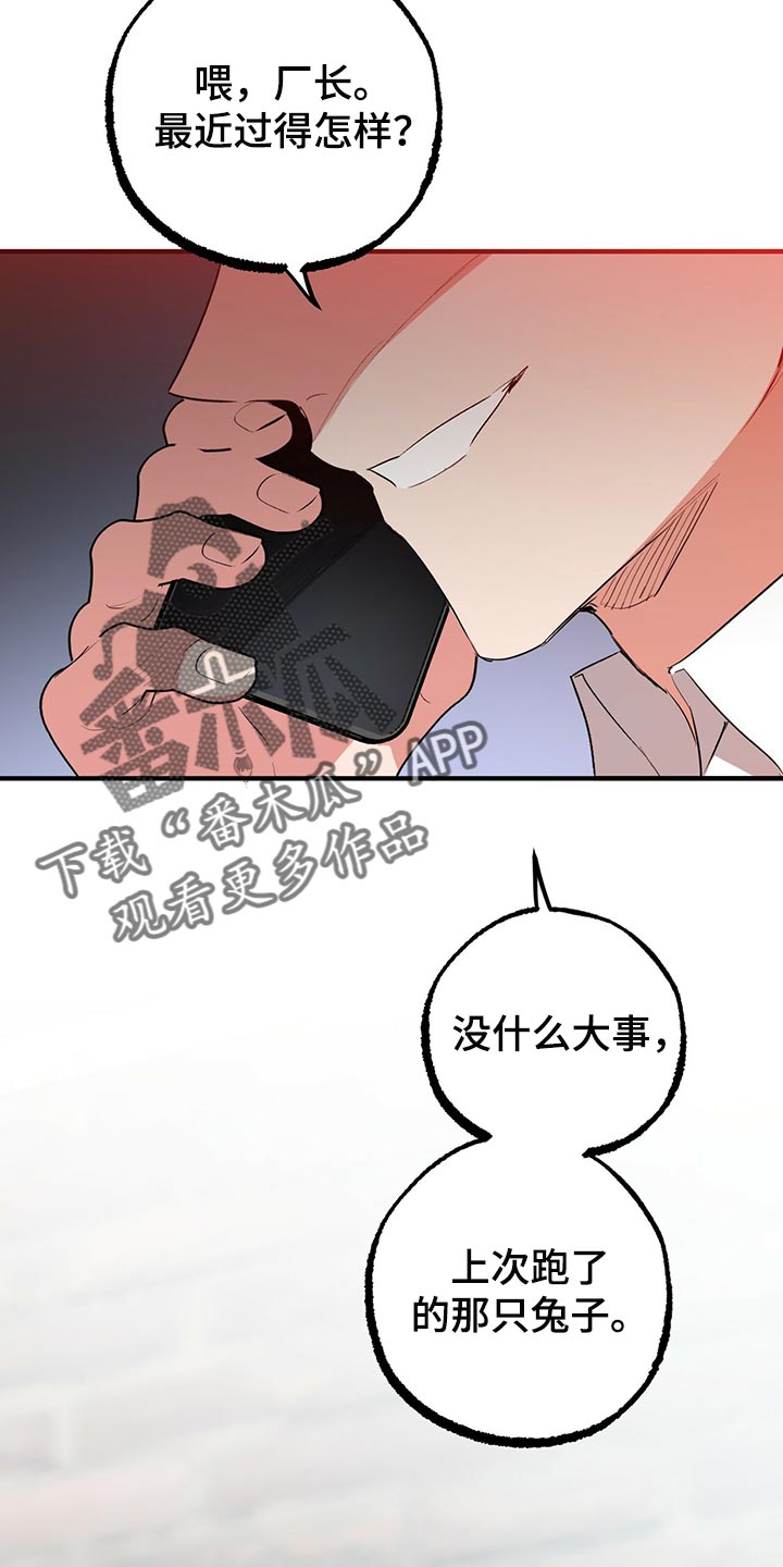 第113章：请立刻过来10