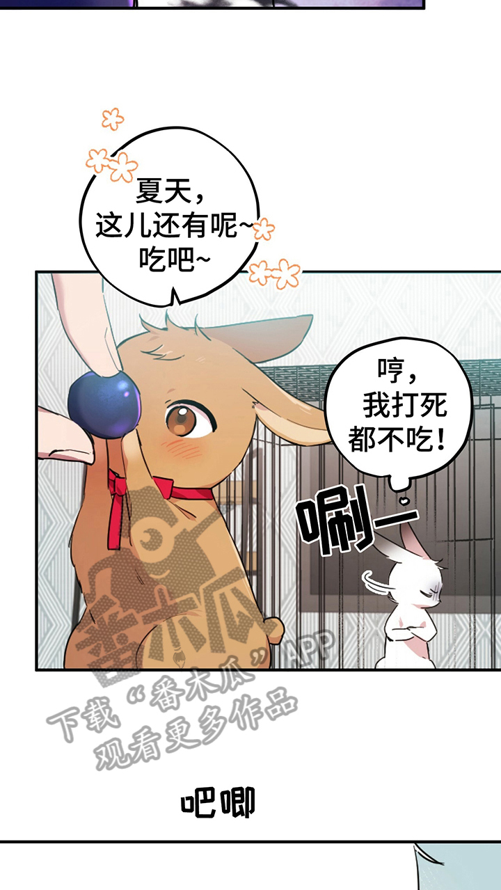 第6章：鄙视20