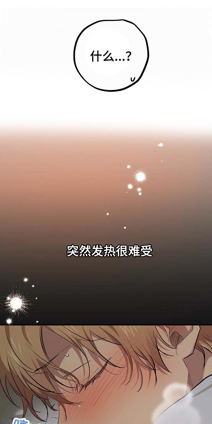 第77章：特别的兔子16