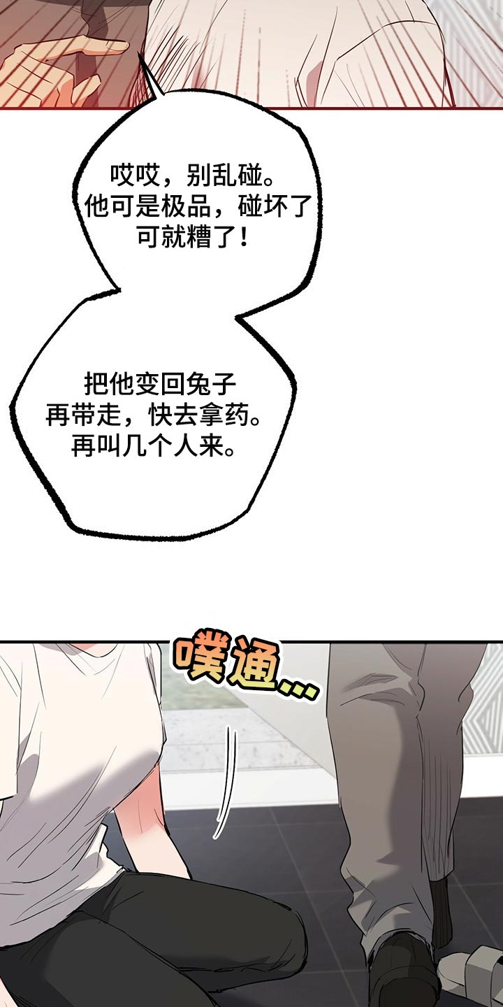 第97章：卖个好价钱33