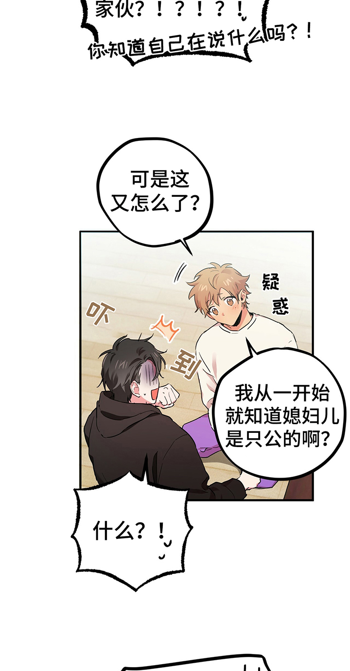 第15章：了解20