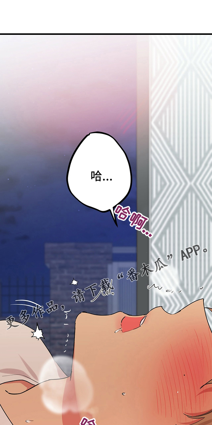 第26章：愉悦0