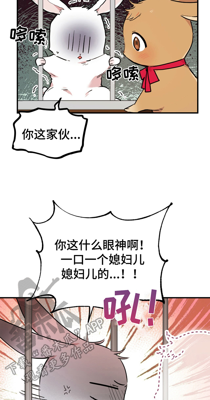 第6章：鄙视8
