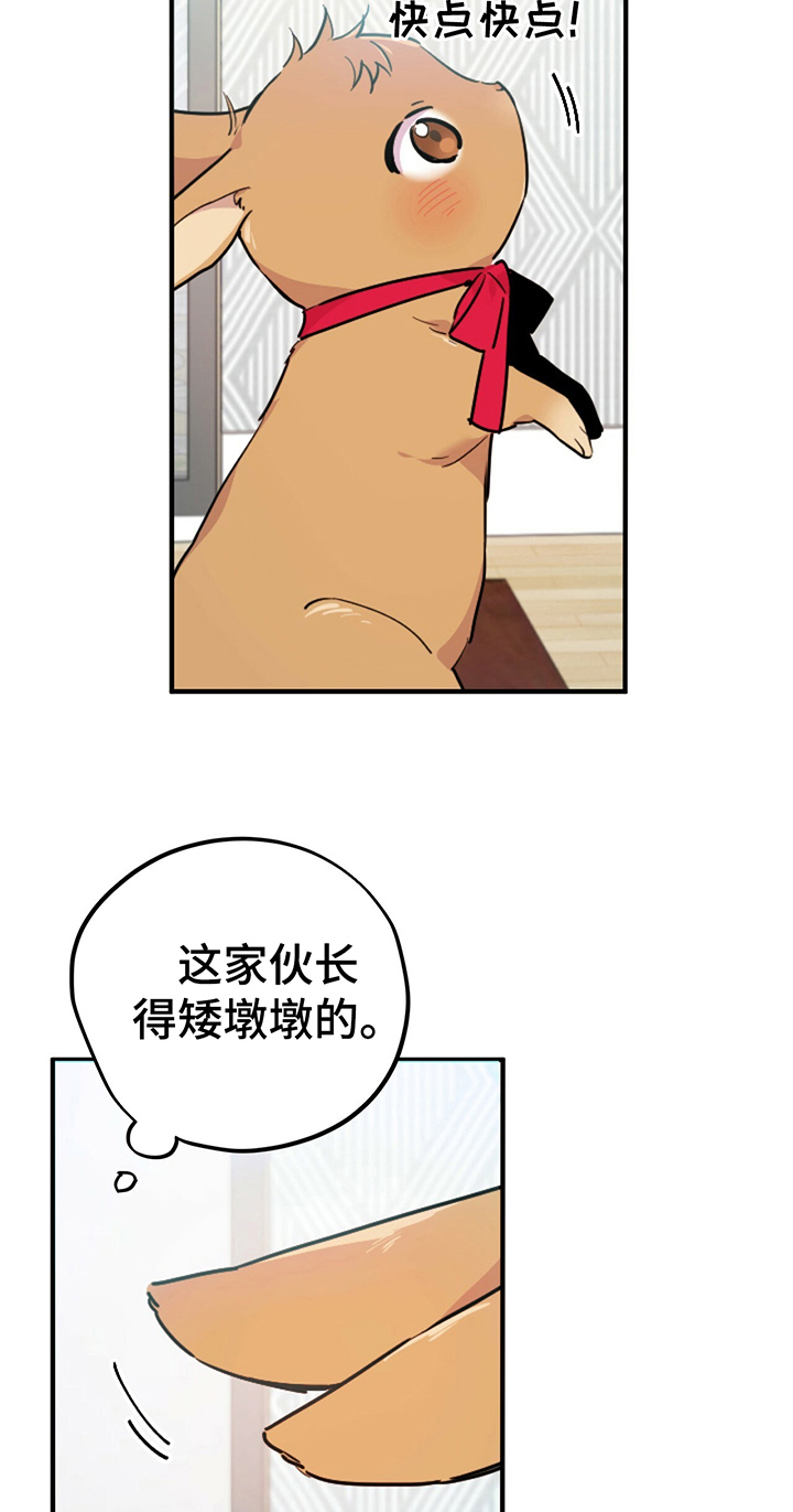 第6章：鄙视11