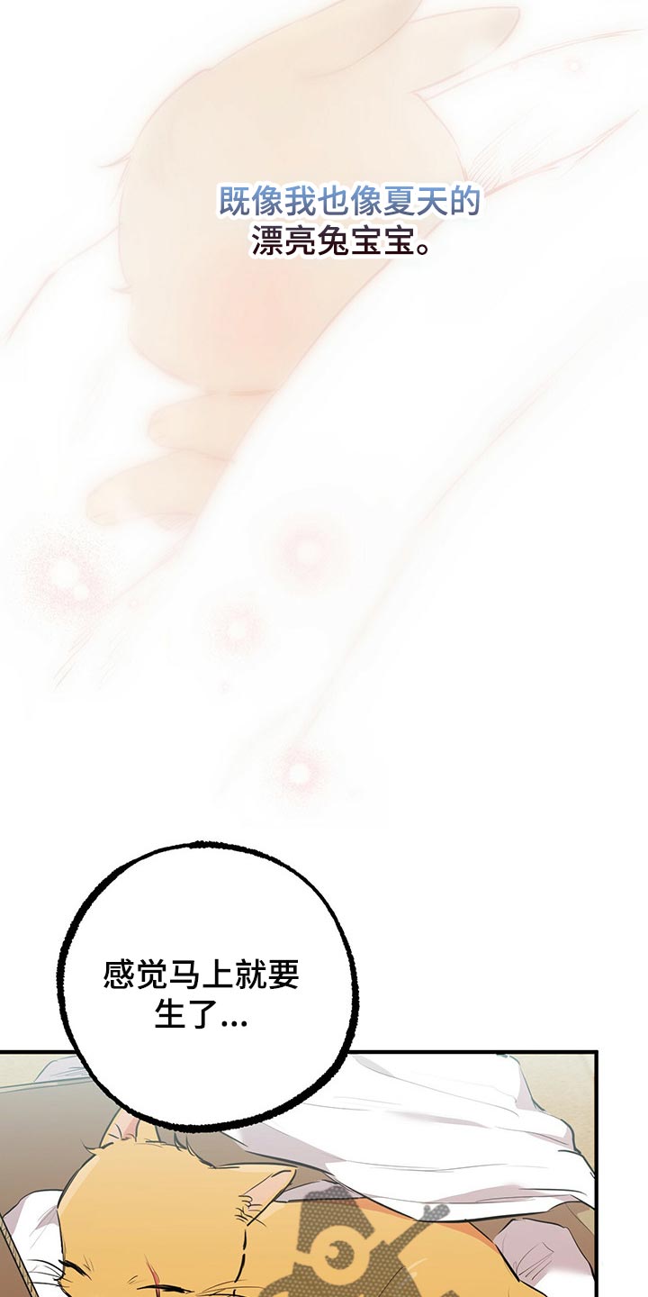 第87章：开始怀疑13