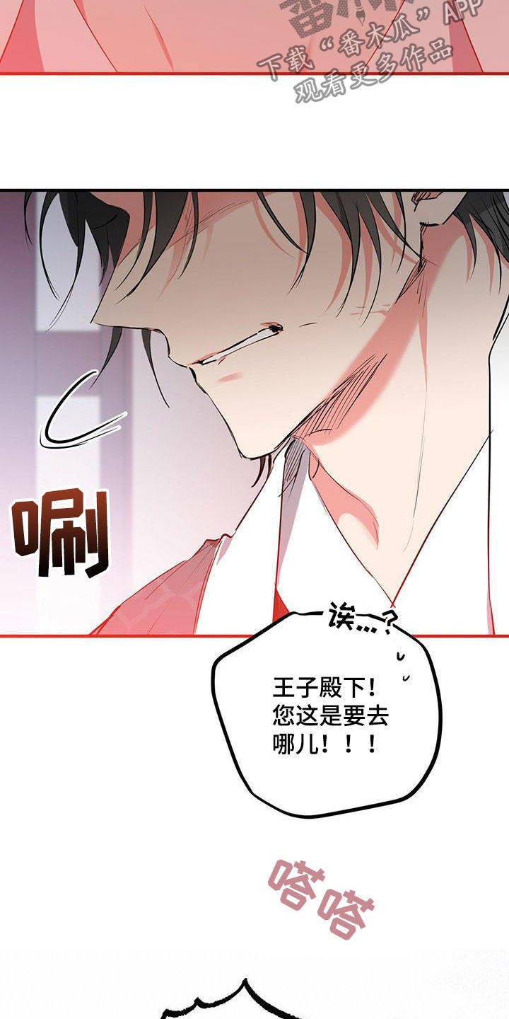 第61章：宿命8