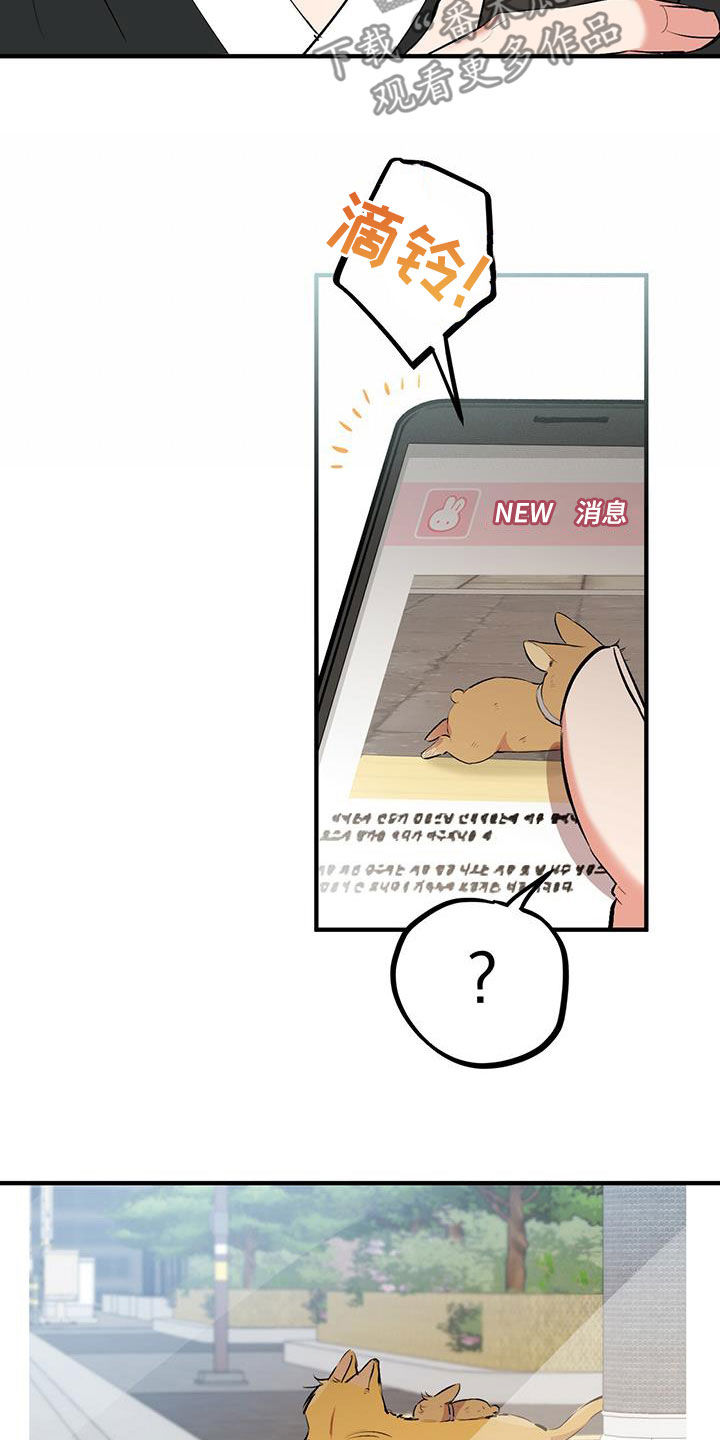 第124章：行踪25