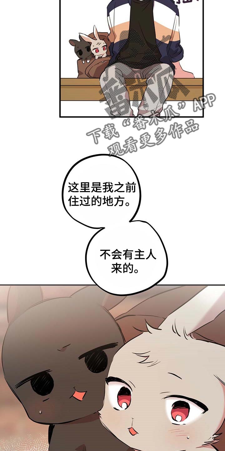 第56章：回你们的家13