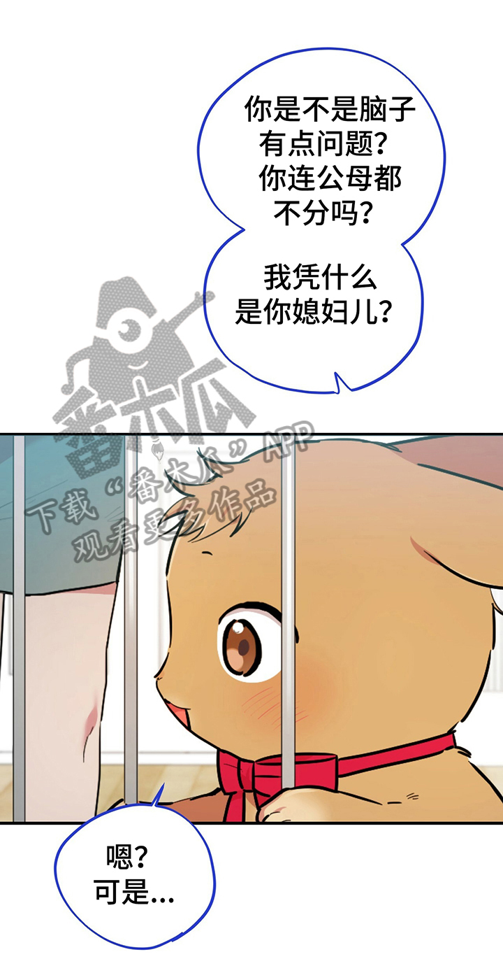 第6章：鄙视0