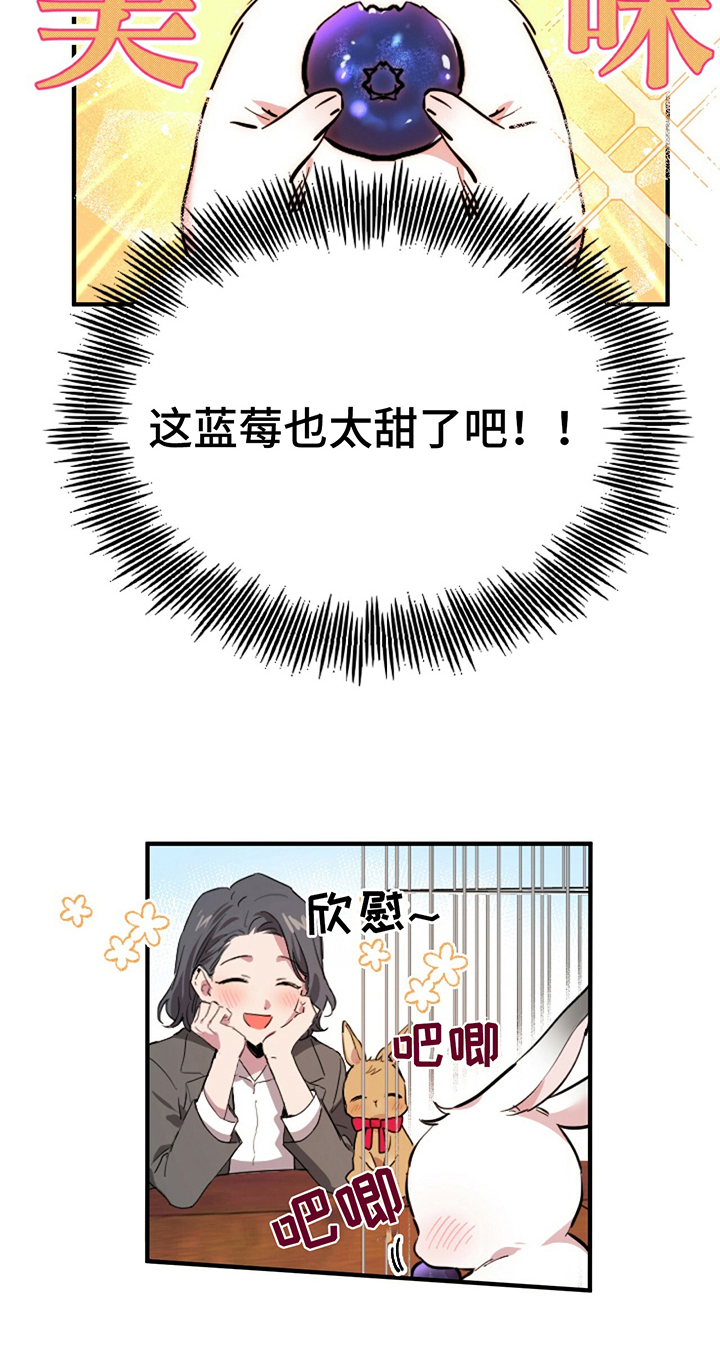 第7章：让你幸福6