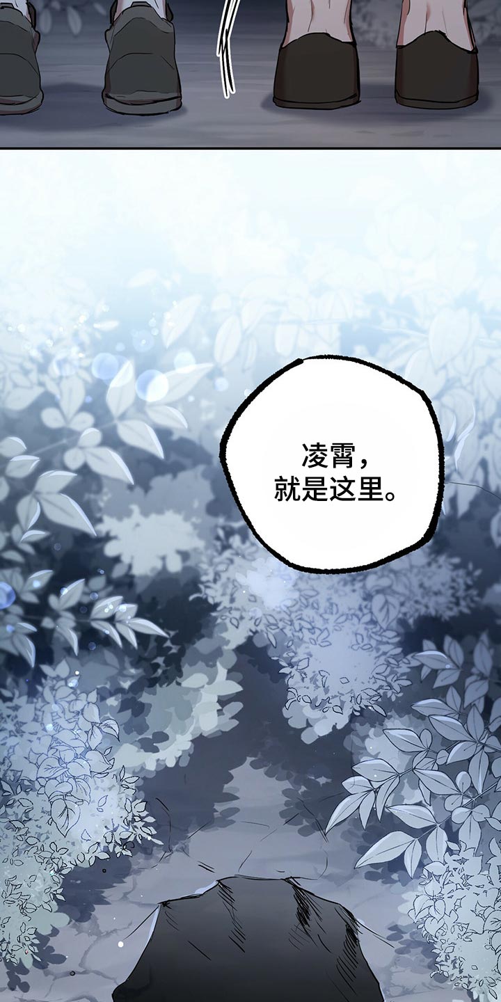 第99章：身世的秘密13