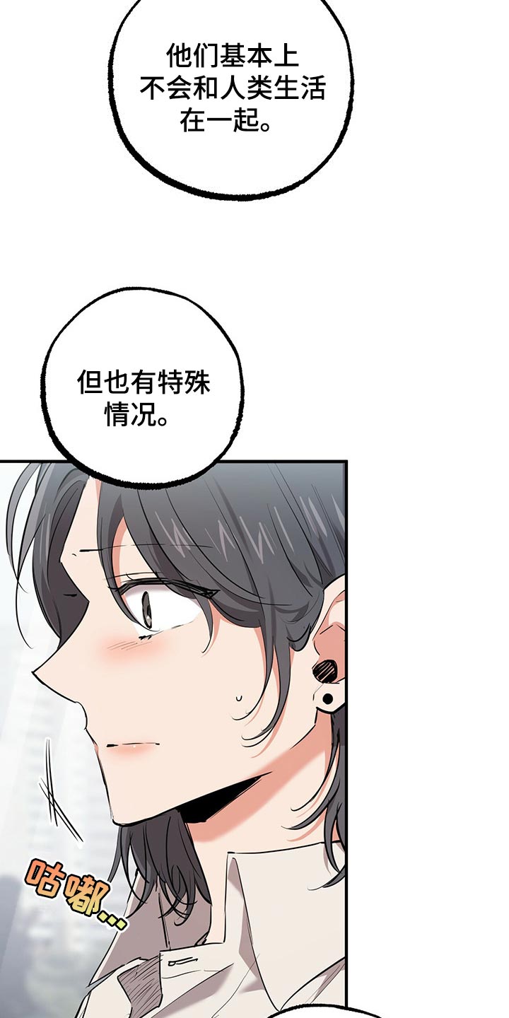 第94章：它们会去哪？4