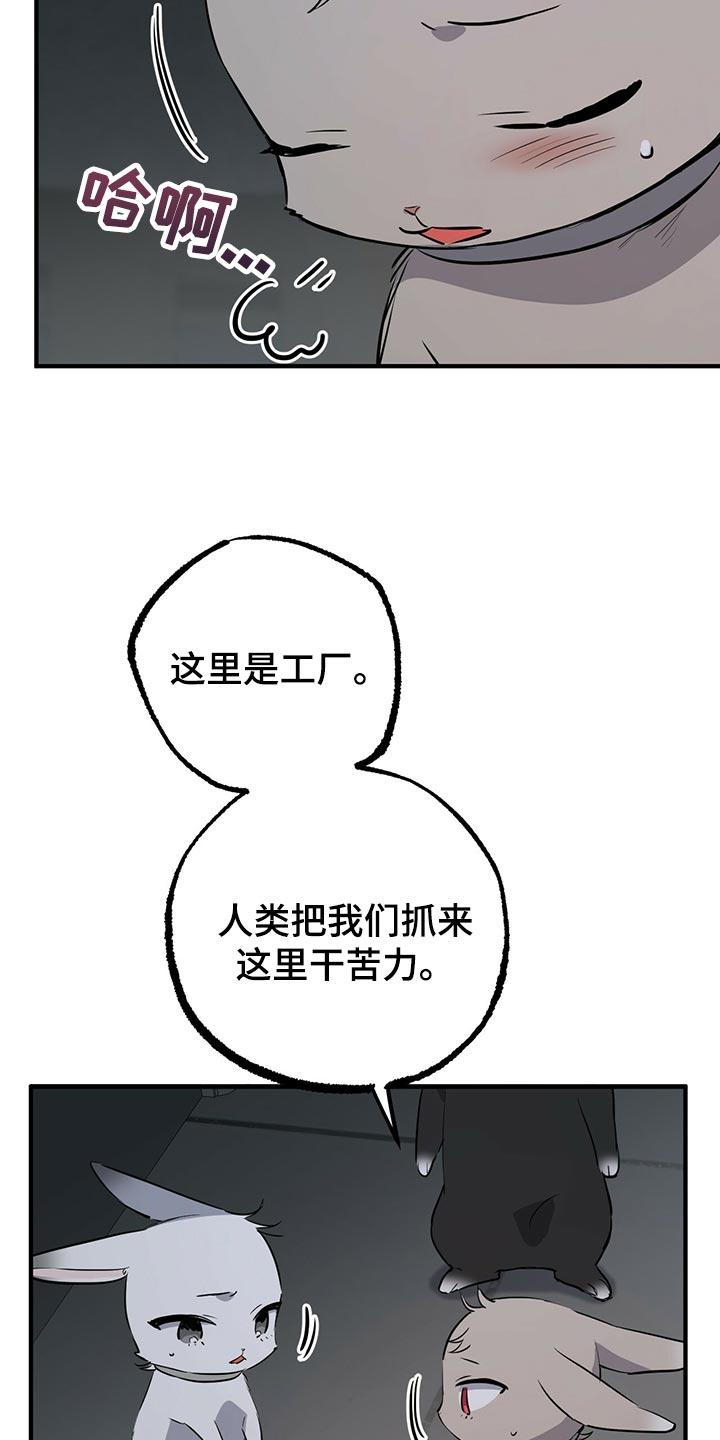 第116章：开始干活13