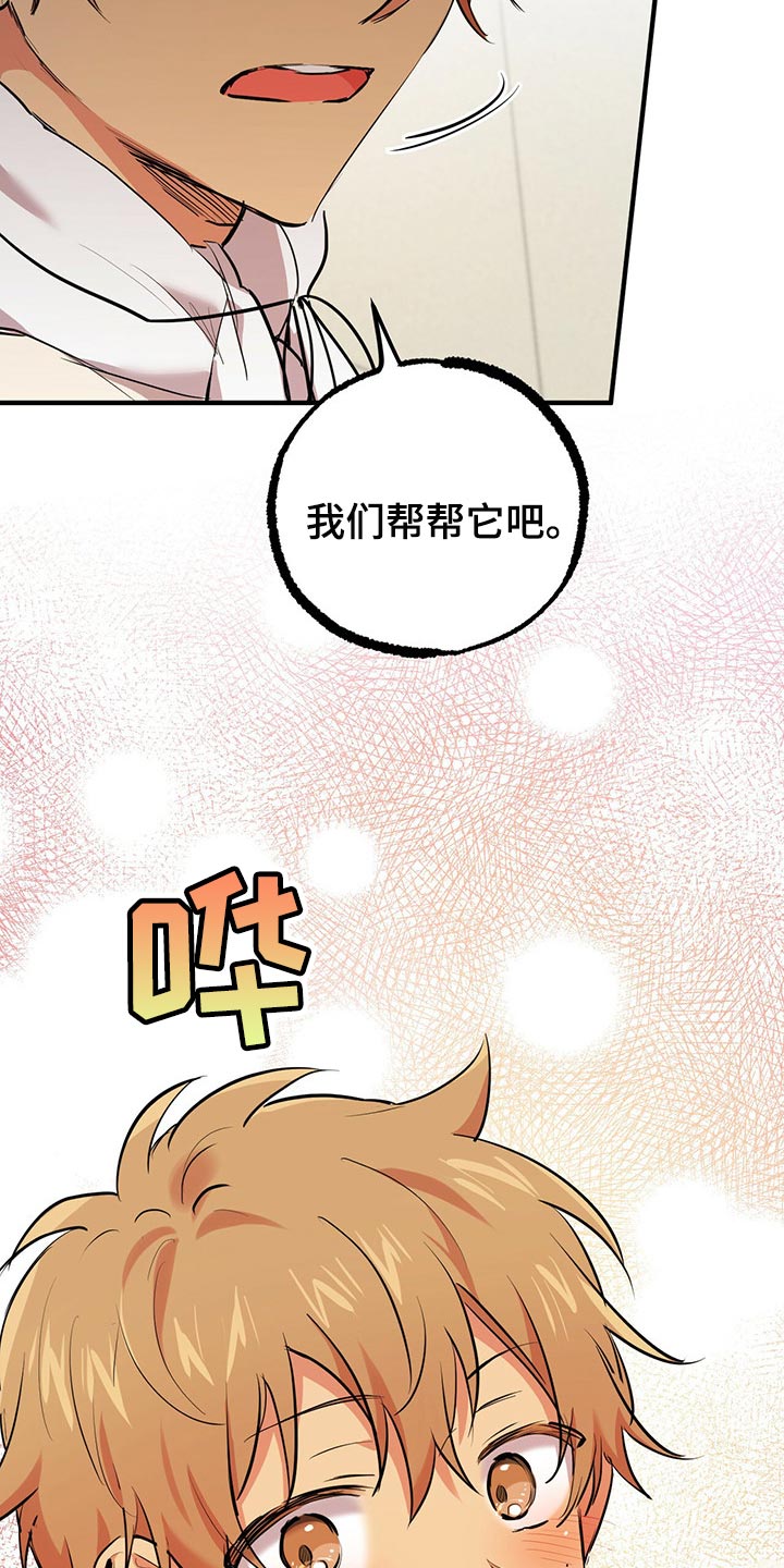第86章：帮它生宝宝18