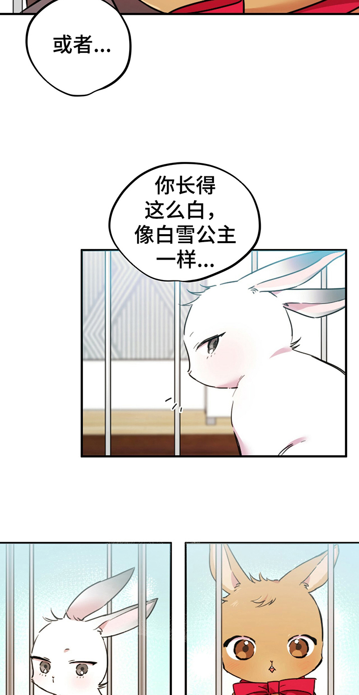 第5章：媳妇儿6