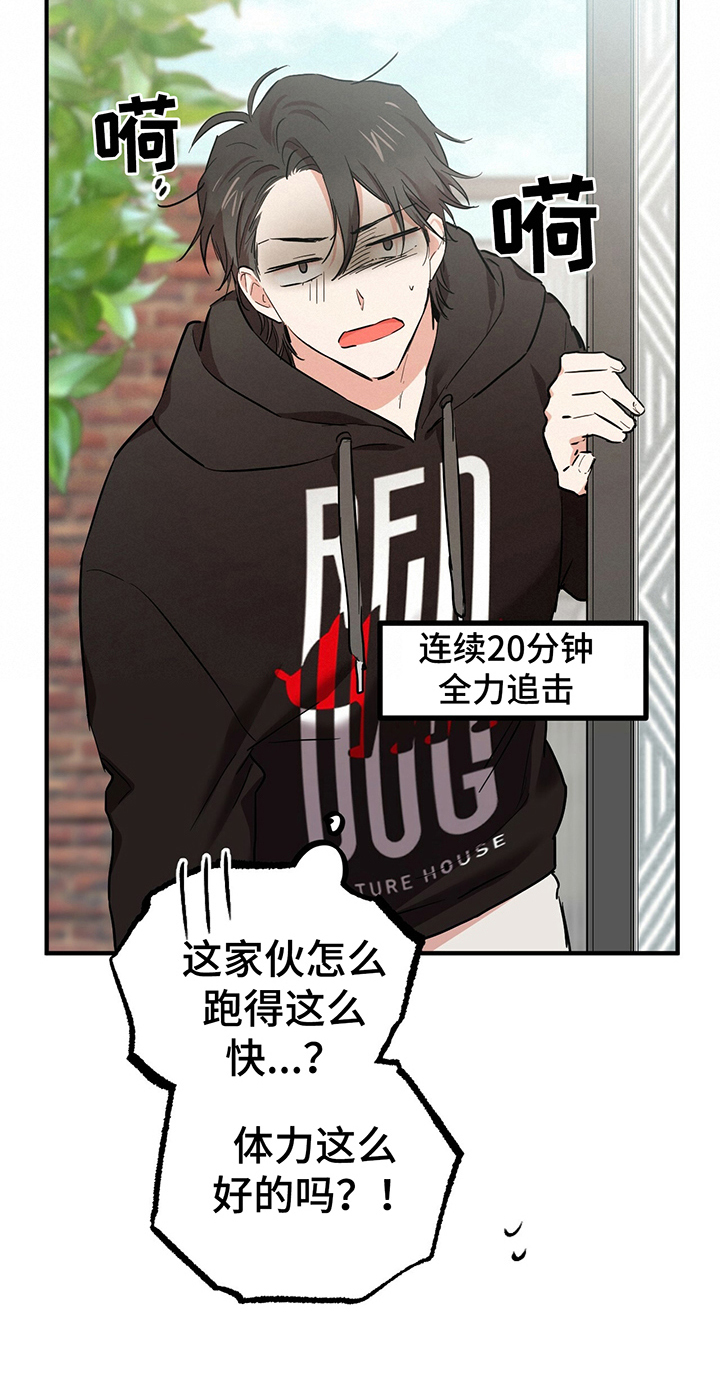 第16章：捉迷藏17